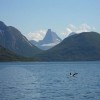 Efjord_natuur-02