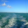 Florida Keys 2014 Bartjes