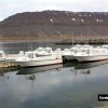IJsland-vangst- 139