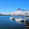 IJsland-vangst- 143