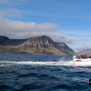 IJsland-vangst- 159