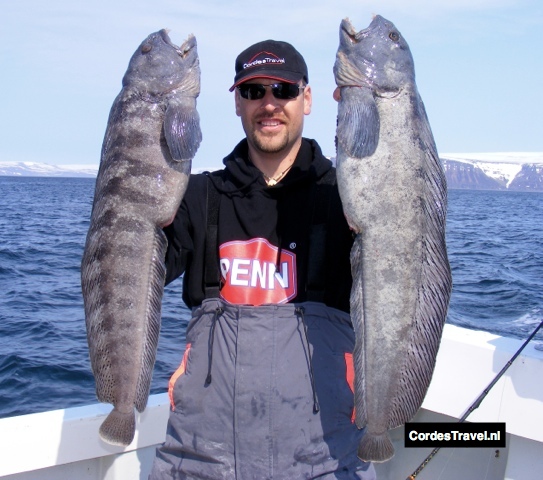 Zegenen Serena Verbazingwekkend Materialen voor het vissen in Noorwegen en IJsland - Cordes Travel  visreizen - visreis Noorwegen, visvakantie IJsland, vissen en overtochten  Cordes Travel visreizen – visreis Noorwegen, visvakantie IJsland, vissen en  overtochten