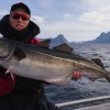 Robby Fish Noorwegen 2015 - 27