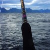 Robby Fish Noorwegen 2015 - 50