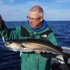 Robby Fish Noorwegen 2015 - 52