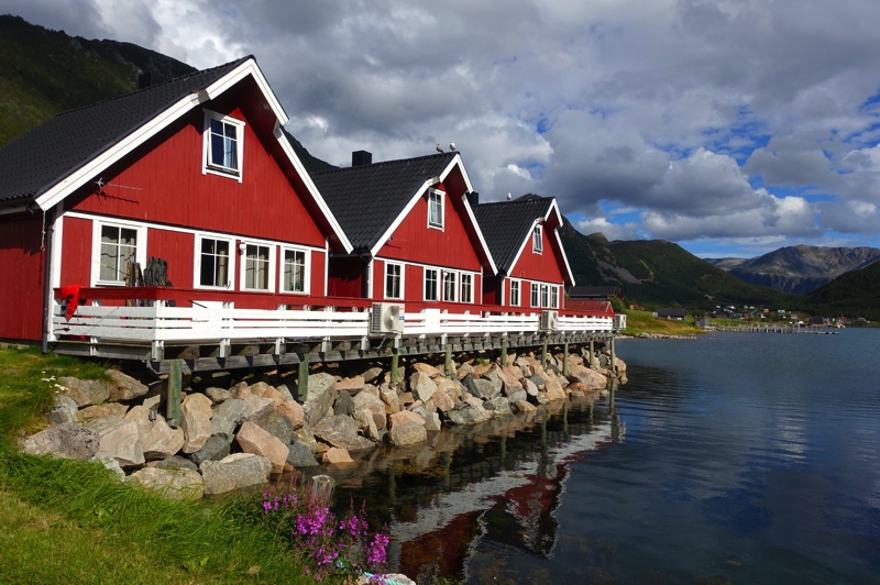 Senja HavfiskeSenja Noord Noorwegen