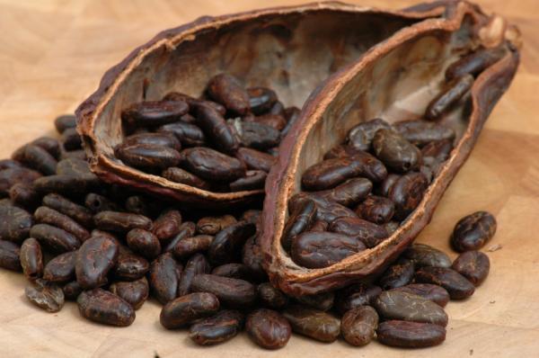 cacaobeanskobotour